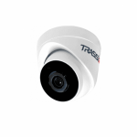 IP-камера TRASSIR TR-D2S1-noPOE (3.6 мм)